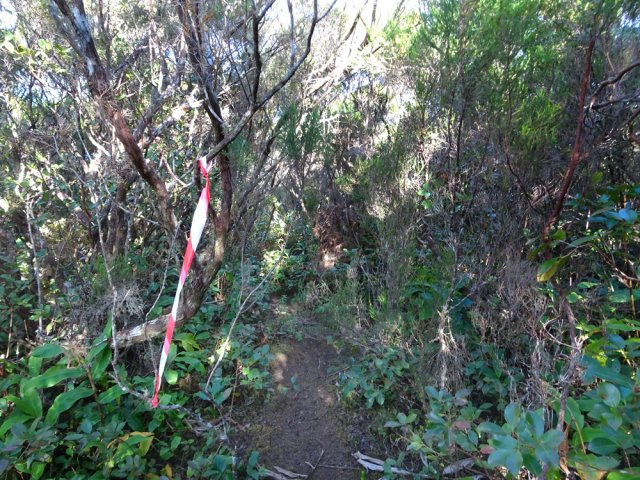 Difficile de perdre le sentier même étroit