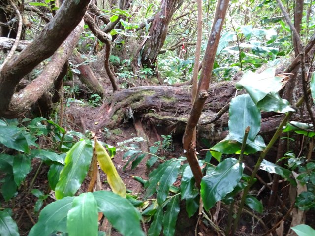 Il faut enjamber ce branle centenaire