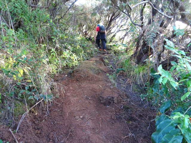 Portions récemment remises en état