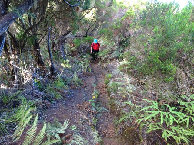 Le rein est étroit mais sans danger