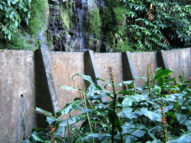 La barrage de recueil des eaux du captage