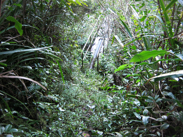 Au retour, l'arrivée à la passerelle par un escalier étroit et glissant