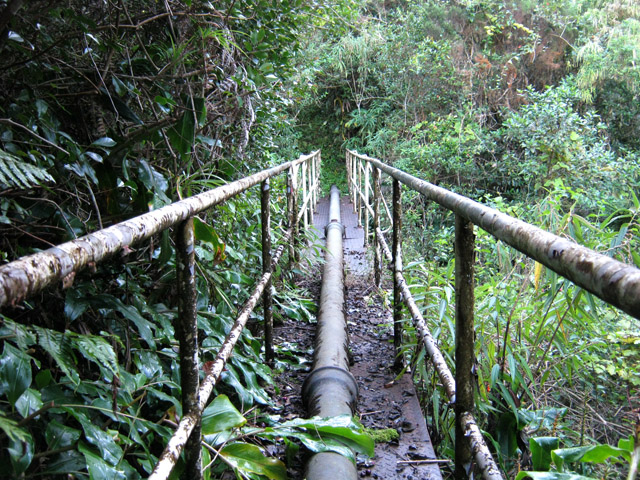 La passerelle, 10 mètres au-dessus de la ravine