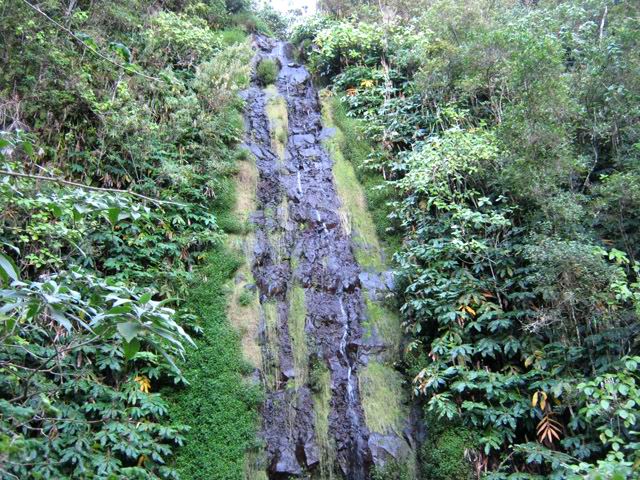 L'arrivée, moins de 30 minutes après le départ.