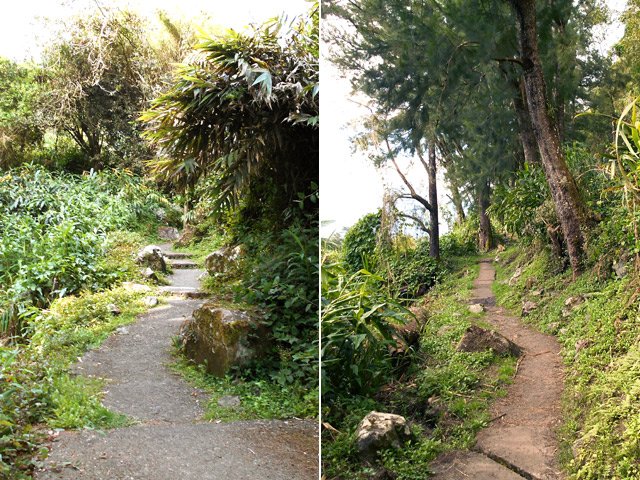 Deux portions du sentier vers Bélouve en début de montée