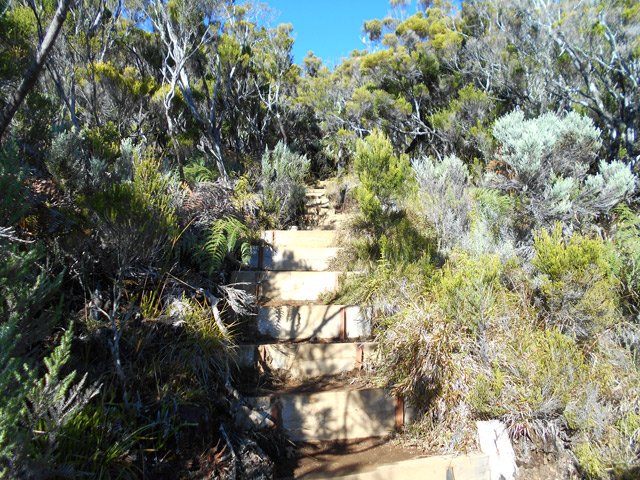Après la boue et les racines, hautes marches très pentues