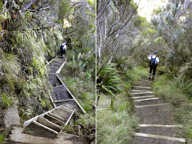 Une idée du sentier et des descentes pour rejoindre les fonds de ravines