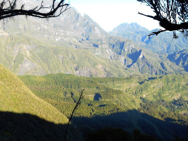 Point de vue sur la Forêt de Terre Plate avant d'arriver au Cap Anglais
