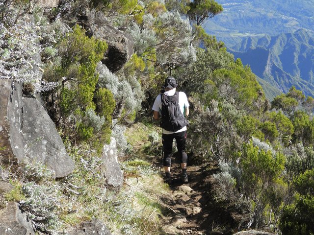 La descente comporte des dizaines de lacets courts