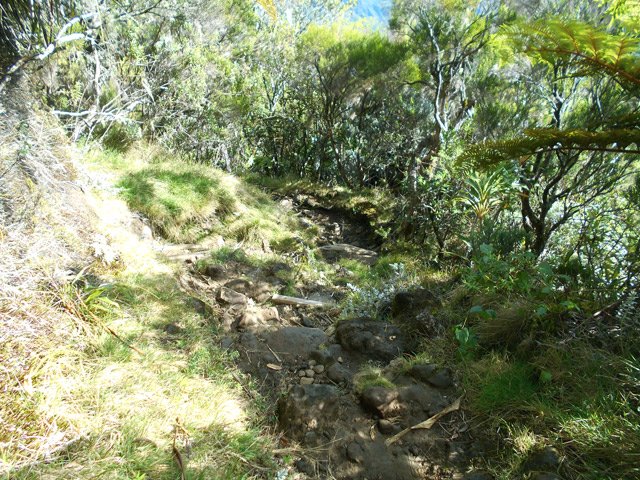 Sentier étroit et souvent recouvert de cailloux