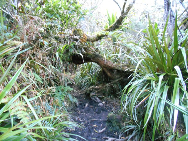 Il vaudrait mieux des bottes qu'un casque !