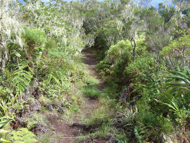 Une partie du sentier qui descend vers Hell Bourg