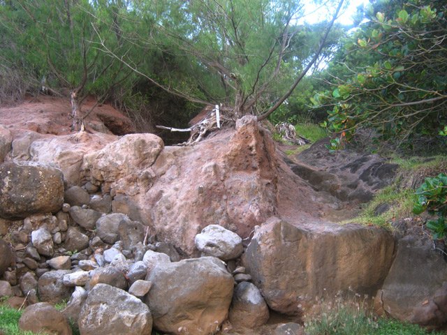 Grands Bois-Grande Anse : Les derniers mètres de la Ravine du Pont