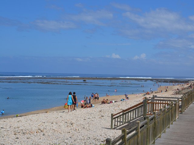 Pas de requin dans le minuscule lagon de Saint-Pierre