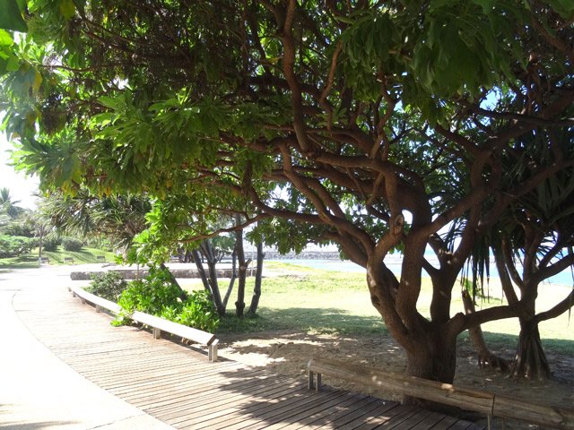 Très agréable cheminement dans le parc du port