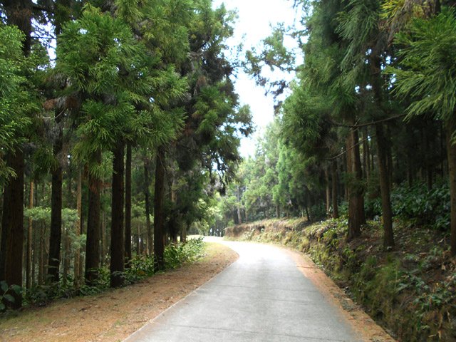 La première descente de la boucle vers les kiosques de pique-nique.