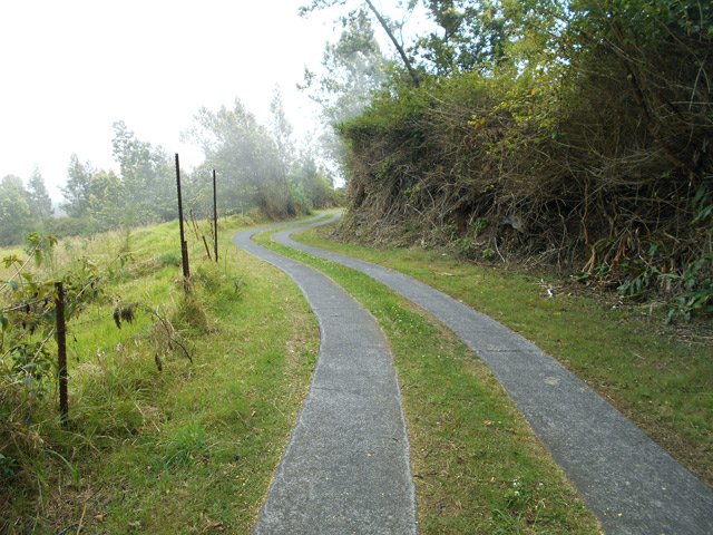 Près de 5 km de bandes de béton pour une marche paisible