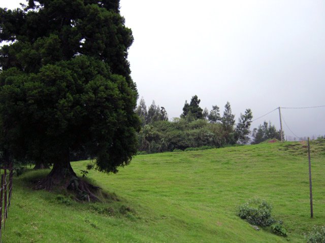 Région d'élevage par excellence