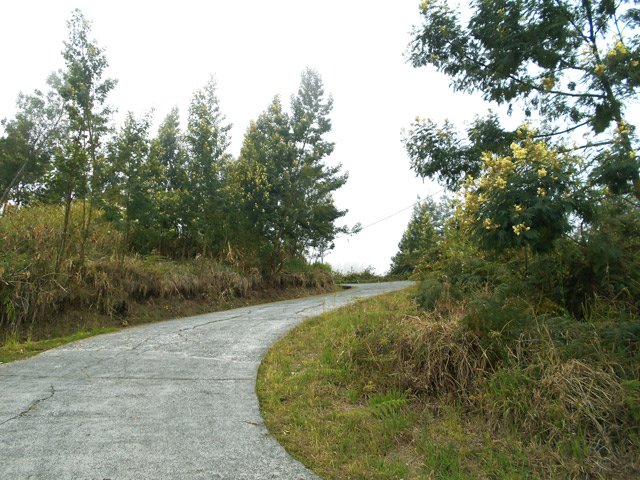Le lacets totalement bétonnés du Chemin Emmanuel Payet