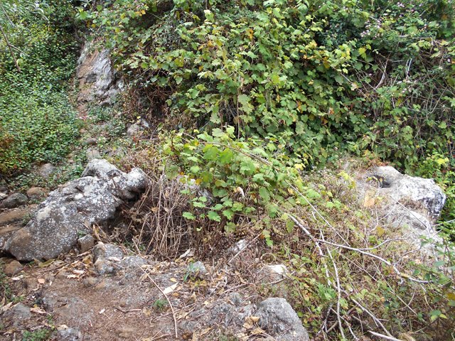 Un passage plus délicat dans les vignes marronnes