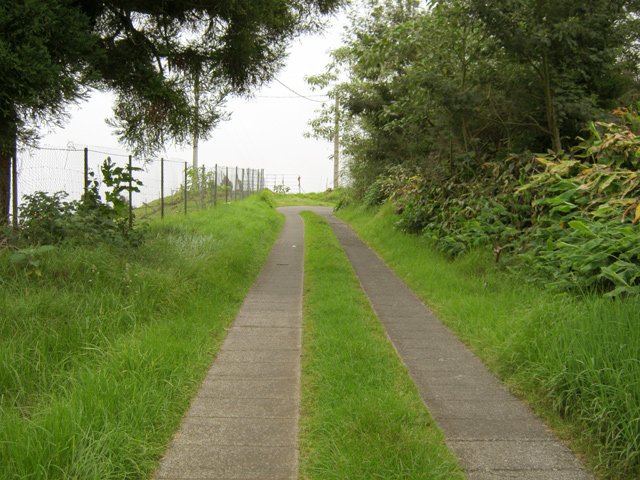 Cette petite route est vraiment très agréable