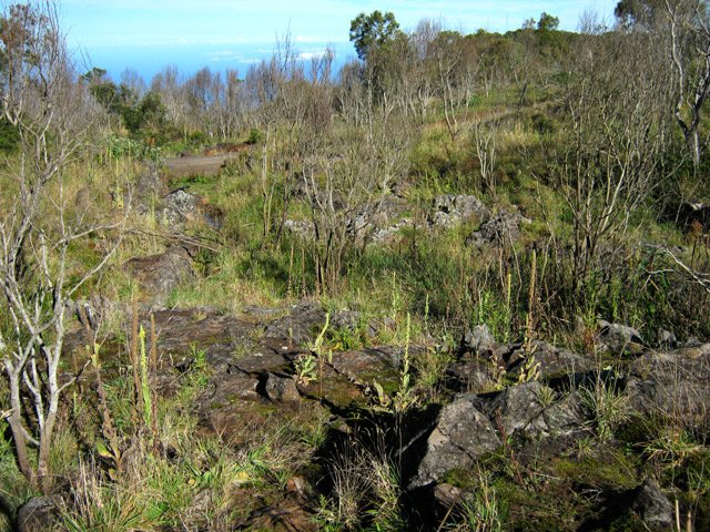 Pas de sentier pour poursuivre mais on aperçoit la route depuis la caverne