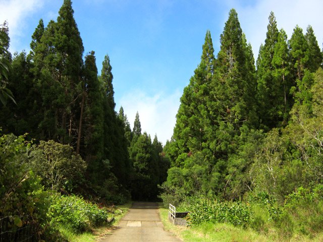 Le retour par la route forestière n'est pas une punition pour les paysages rencontrés