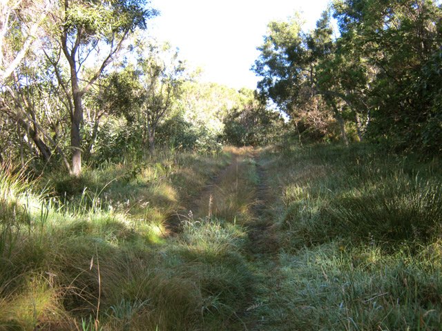Une autre piste plus herbeuse
