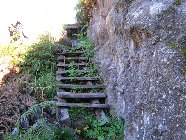 Un escalier de tamarin près d'un dyke vertical