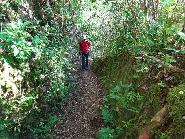 Le sentier est très creusé par des années de passages