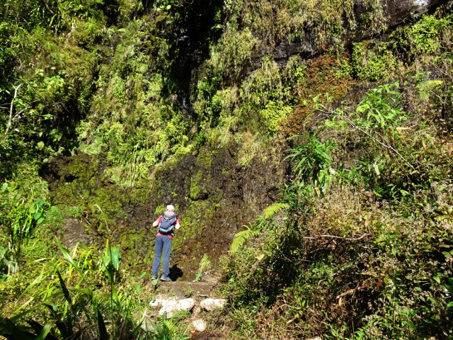 Une prise d'eau un peu abandonnée