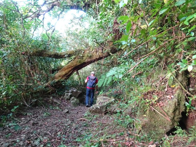 Sentier facile jusqu'aux premiers lacets