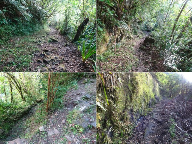 Quelques portions de la descente