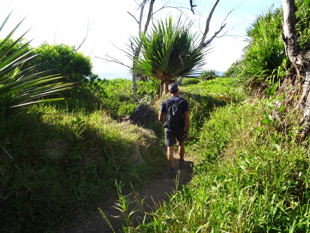 Une autre portion de sentier dans les hautes herbes