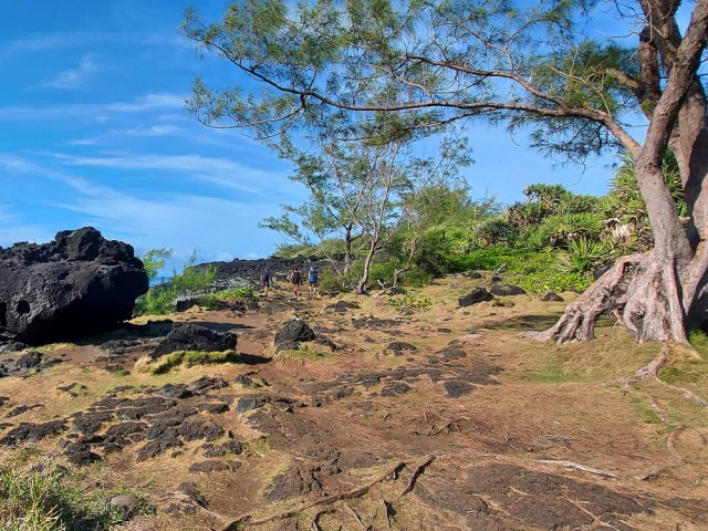 On peut circuler n'importe où entre arbres et rochers