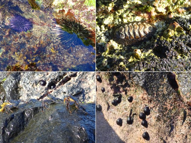 Ne rien faire pour gêner la faune protégée par la ZNIEFF