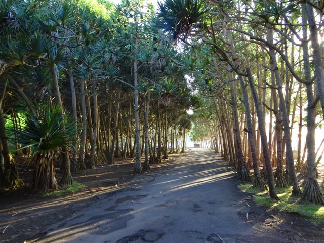 On peut emprunter la route si l'on ne va pas au souffleur