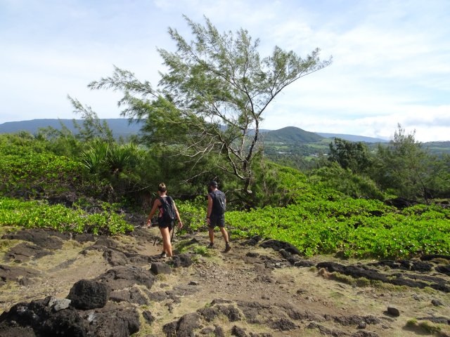 Le cheminement s'effectue à plat sur la terre et les basaltes qui affleurent