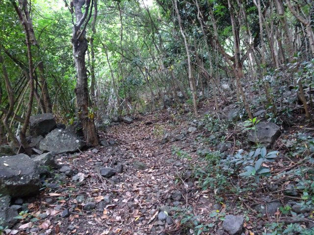 Une nouvelle zone correcte recouverte de nombreux cailloux
