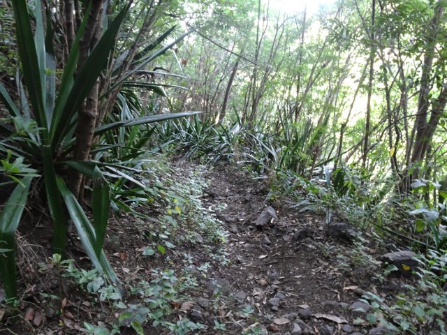 Un des 10 lacets de la dernière montée