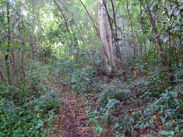 Passage au plus près de la réserve d'eau