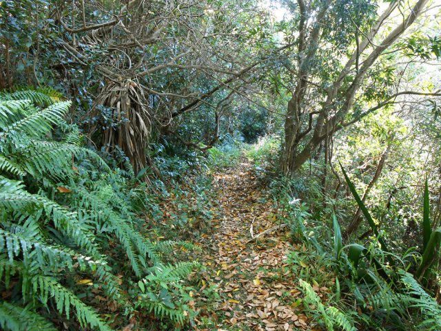 On débute sans difficulté sur un sentier plat
