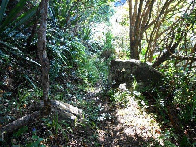 Il entame une légère descente avant d'arriver à l'oratoire