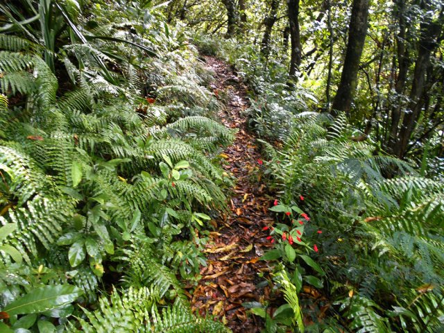 Certaines parties sont très bien marquées