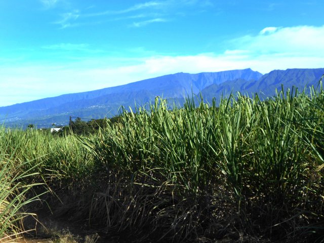 Fin de la piste en arrivant à la route Hubert Delisle