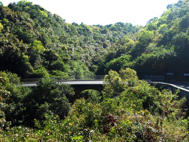 Le pont sur le Bras Leclerc