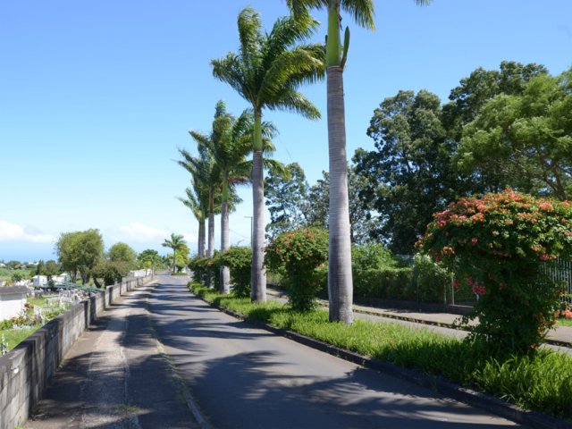 L'avenue de la République, toujours fleurie
