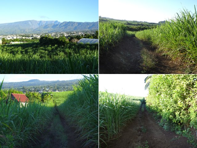 Prendre le Chemin de la Bergerie pour laisser un peu le goudron