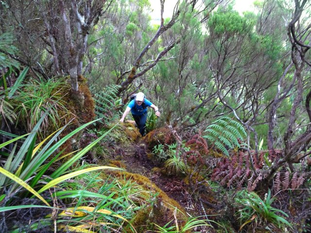 Les mains sont très fréquemment utilisées pour faciliter la montée