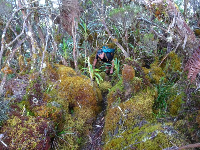 Les dix derniers mètres avant de parvenir au sommet